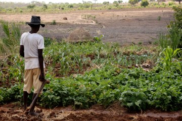 farmer_in_chimoio_1