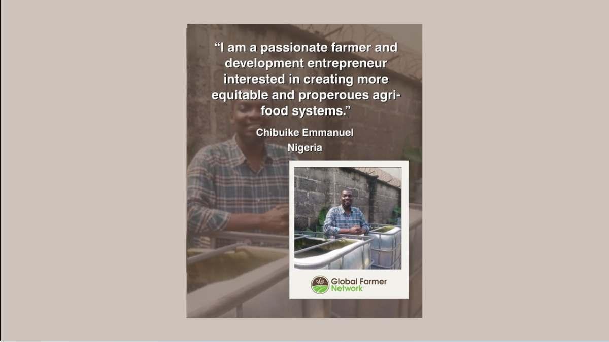 GFN Member Spotlight – Chibuike Emmanuel