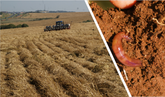 Celebrating 50 Years of No-Till Agriculture in Brazil