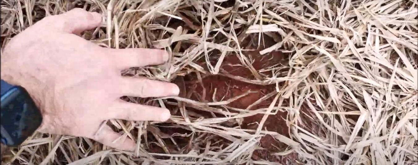 I'm a Conservation Farmer Who Kidnaps Carbon for Good