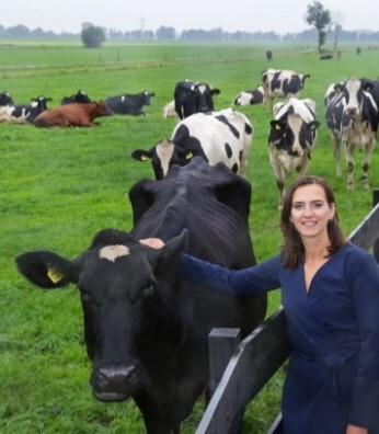 Dutch Agriculture: Past, Present, and Future