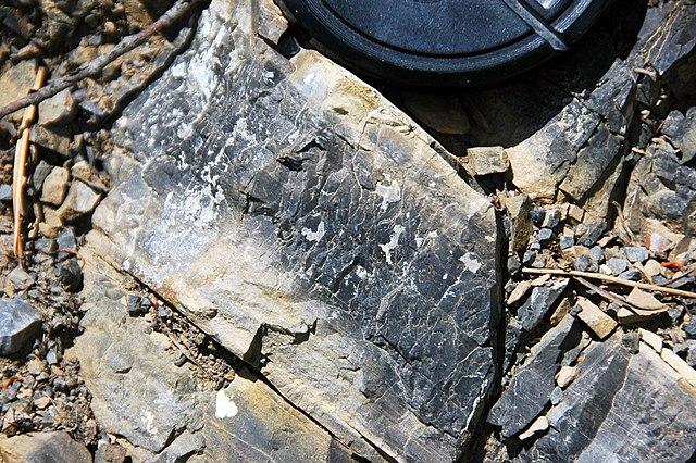 Major Phosphate Discovery Critical to Sustainable Food Production