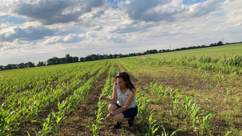 Hope for a Season of Rebirth in Nature and Trade Relations Between the EU and USA